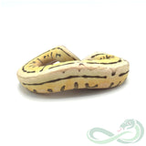 Super Pastel Spider Mojave Puzzle (Female #1)