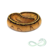 Pastel Genetic Stripe (Female #3)